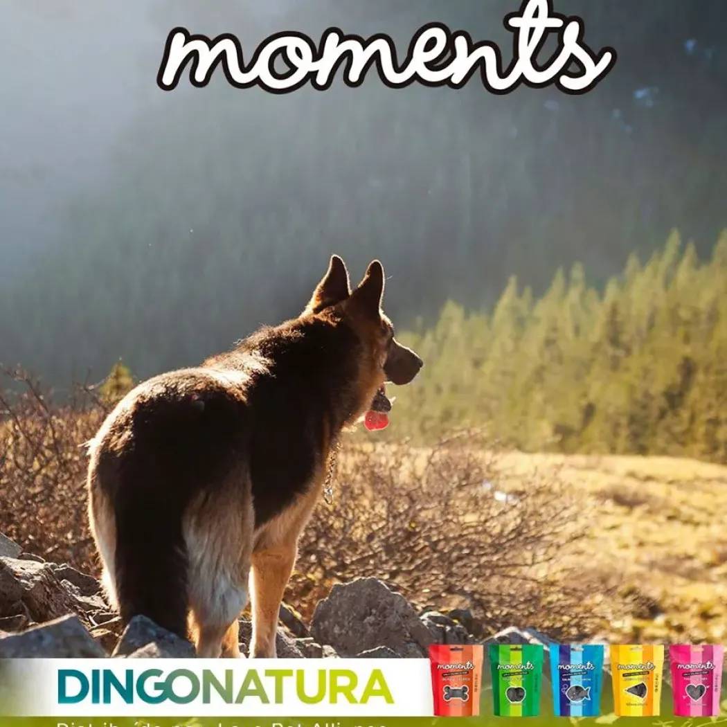 Moments hundesnack Laks 60 g - fuldfoder hundesnacks