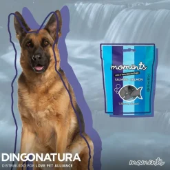 Moments hundesnack Laks 60 g - fuldfoder hundesnacks