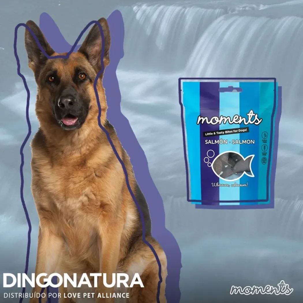 Moments hundesnack Laks 60 g - fuldfoder hundesnacks
