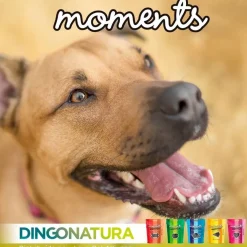 Moments hundesnack Laks 60 g - fuldfoder hundesnacks