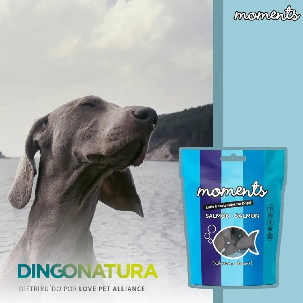 Moments hundesnack Laks 60 g - fuldfoder hundesnacks