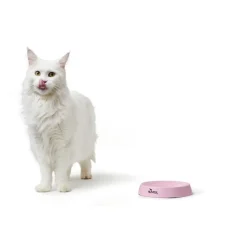 Moulins melamin katteskål Pink
