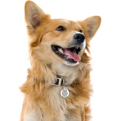 My Family Hundetegn All You Need Is Dog