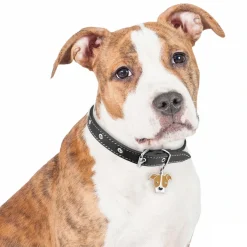 My Family Hundetegn Friends Amerikansk Pitbullterrier Rød
