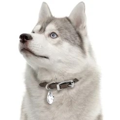My Family Hundetegn Friends Siberian Husky Grå