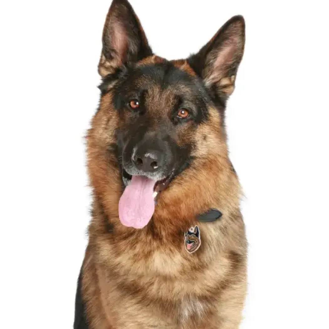 My Family Hundetegn Friends Schæferhund Brun