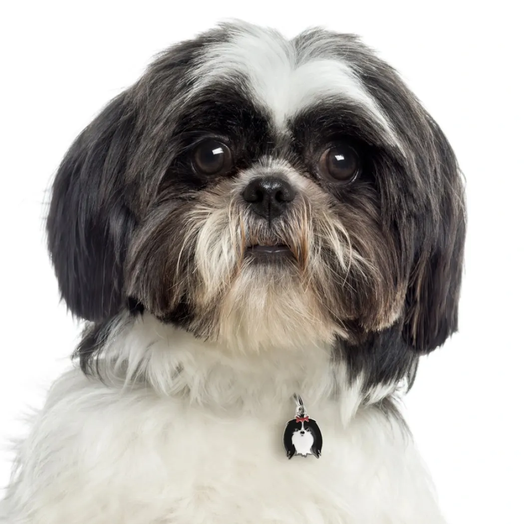 My Family Hundetegn Friends Shih Tzu Sort
