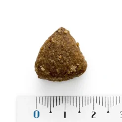 Natura Diet Fisk og Ris hundefoder 500 g - Skånsomt og naturligt