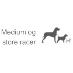 Natura Diet Fisk og Ris hundefoder 3 kg - Naturlig ernæring til hunde