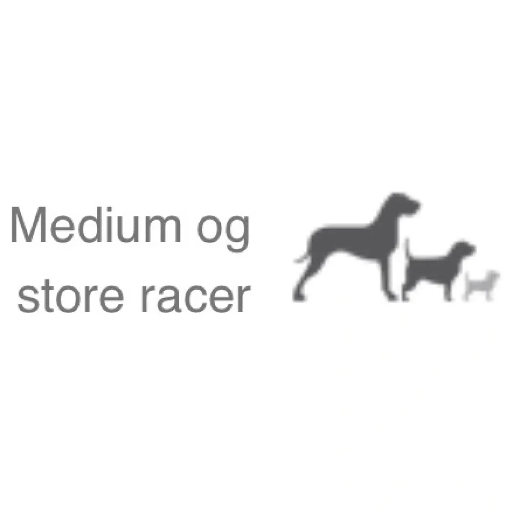 Natura Diet Fisk og Ris hundefoder 3 kg - Naturlig ernæring til hunde