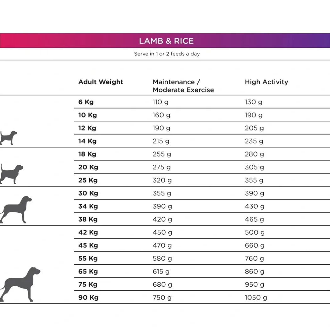 Natura Diet Lam og Ris Hundefoder 3 kg - Sundt og nærende til små og mellemstore hunde