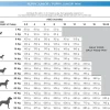 Natura Diet Puppy Junior Hvalpepakke 10 x 500 g