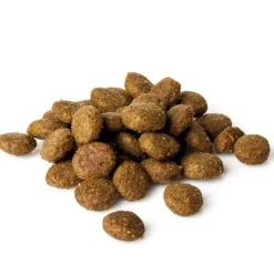 Natura Diet Puppy Large Breed Hvalpefoder 12 kg - Sund vækst til store racer