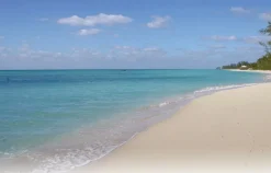 Natures Ocean Natural White Live sand 9,07 kg 0,5-1,7 mm