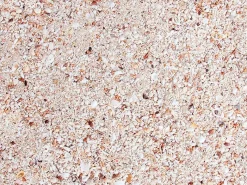 Natures Ocean Reef substrate Live Sand 7,26 kg