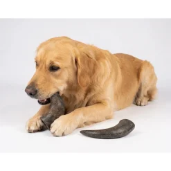 NATURE Snack Horn Small 2pcs Naturlige tyggeben til hunde