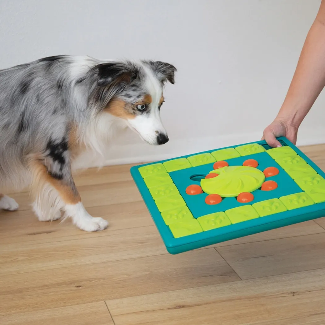 Nina Ottosson Multipuzzle Niveau 4 - udfordrende aktivitetslegetøj til hunde