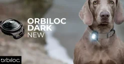 Orbiloc hundelygte Dark Sort