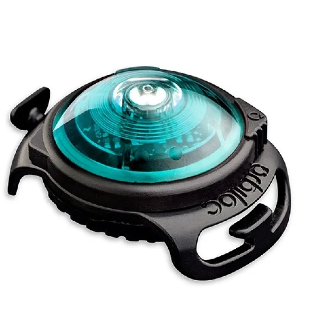 Orbiloc hundelygte Turquoise