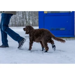 Ozami hundesokker L sort - bløde sokker til store hundepoter