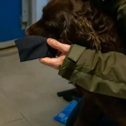 Ozami hundesokker M sort - 4 stk til små hundepoter