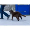 Ozami hundesokker S sort - 4 stk let beskyttelse til poter