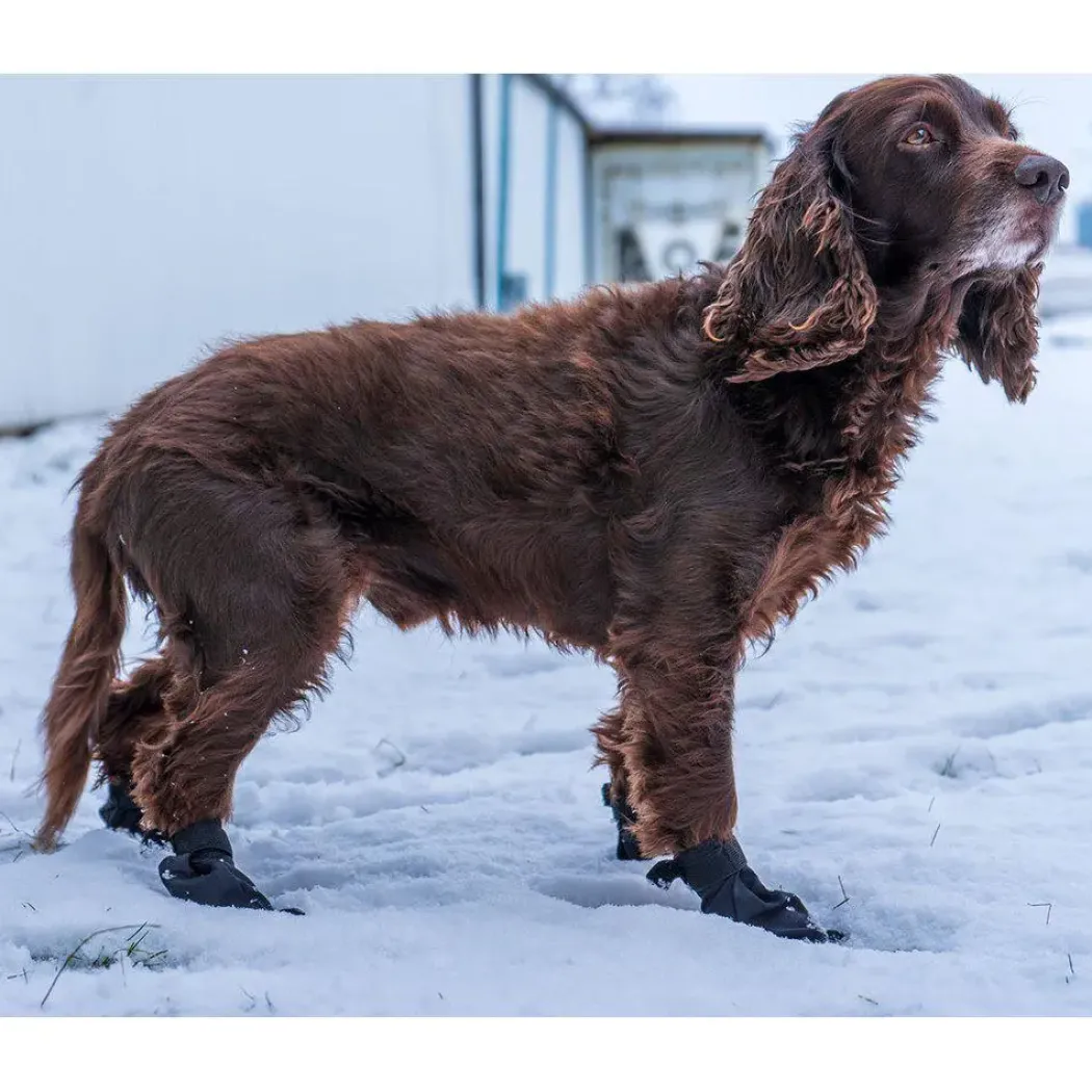 Ozami hundesokker S sort - 4 stk let beskyttelse til poter