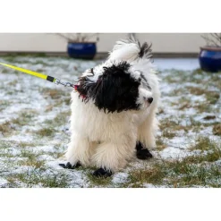 Ozami hundesokker XXS sort - beskytter små poter