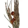 Palme ris Terrarium dekoration