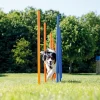 Pawise Hunde Agility Slalom 12 stk pæle - sjov hundetræning