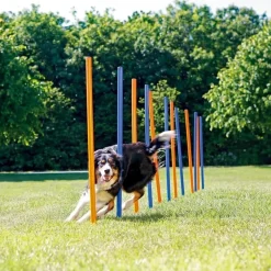 Pawise Hunde Agility Slalom 12 stk pæle - sjov hundetræning