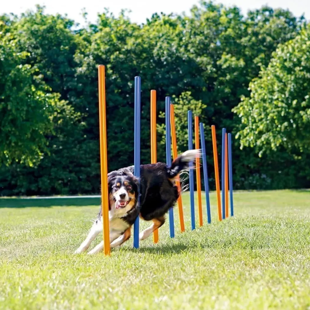 Pawise Hunde Agility Slalom 12 stk pæle - sjov hundetræning