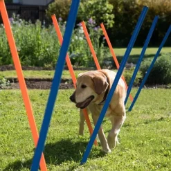 Pawise Hunde Agility Slalom 12 stk pæle - sjov hundetræning