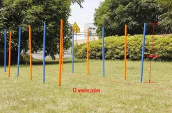 Pawise Hunde Agility Slalom 12 stk pæle - sjov hundetræning