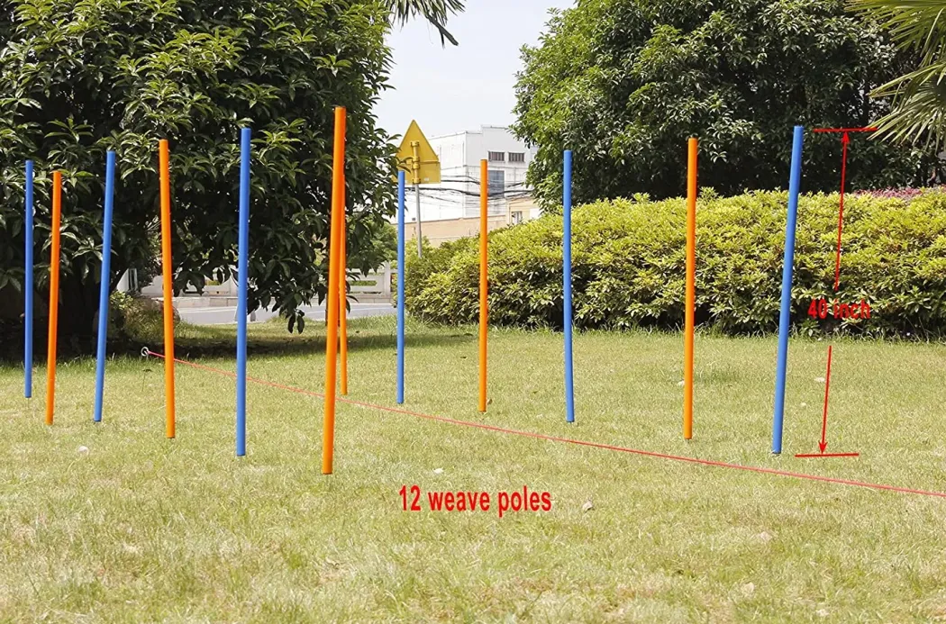 Pawise Hunde Agility Slalom 12 stk pæle - sjov hundetræning