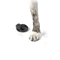 Pawz hundesko XX-Small 3,8 cm sort