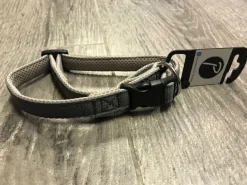 Petlando Hundehalsbånd i Neopren Grå S - blødt hundehalsbånd i neopren