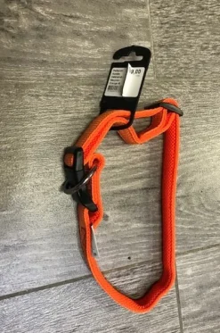 Petlando Hundehalsbånd i Neopren Orange M - let og komfortabelt hundehalsbånd