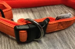 Petlando Hundehalsbånd i Neopren Orange M - let og komfortabelt hundehalsbånd