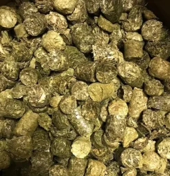 Pre Alpin Testudo Original 20 kg