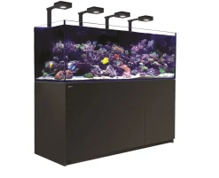 Red Sea Akvarium Reefer Deluxe XXL Sort 750