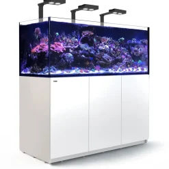 Red Sea Akvarium Reefer Deluxe XXL Hvid 625