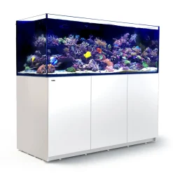 Red Sea Akvarium Reefer Hvid XXL 750 V3