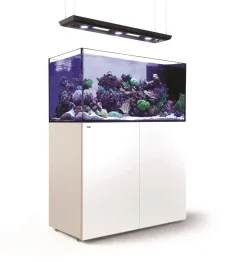 Red Sea Akvarium sæt Peninsula P500 Deluxe Hvid