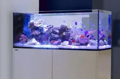 Red Sea Akvarium sæt Peninsula P500 Deluxe Hvid