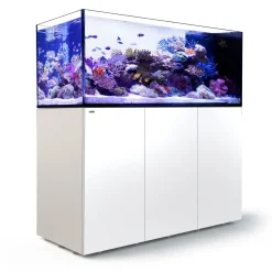 Red Sea Akvarium sæt Peninsula P650 Hvid