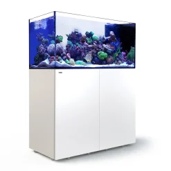 Red Sea Akvarium sæt Peninsula P500 Hvid