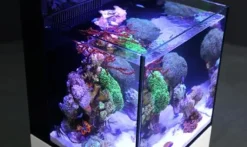 Red Sea Nano Max Complete Reef System Hvidt G2
