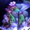 Red Sea Nano Max Complete Reef System Sort G2