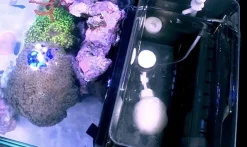 Red Sea Nano Max Complete Reef System Sort G2